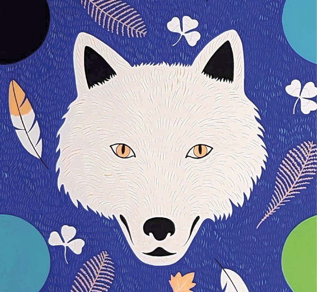 Visuel d'un loup